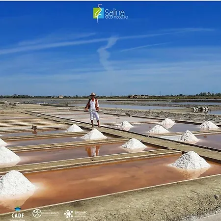 Piramide13 Fronte Mare Direkt Am Mit Solarium Terrasse * ليدو ديلي نازيوني